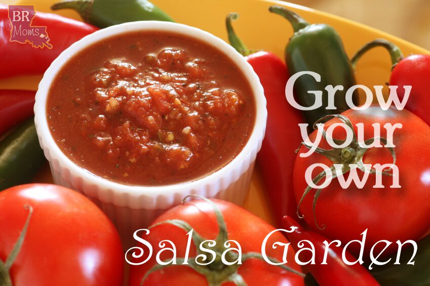 Grow your own salsa garden