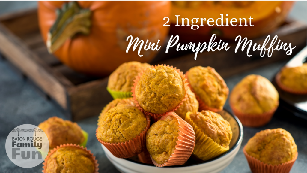 2 Ingredient Pumpkin Muffins