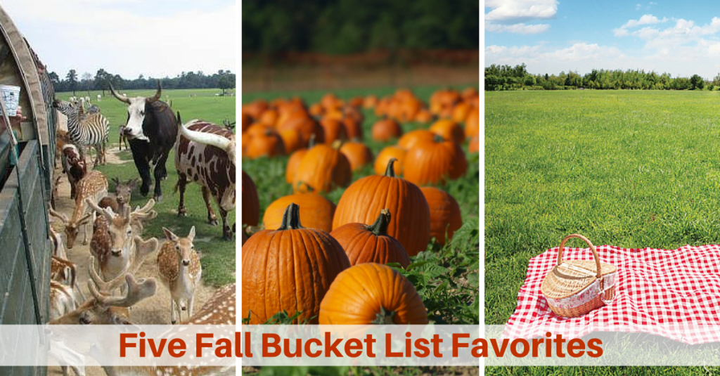 Fall Bucket List Five