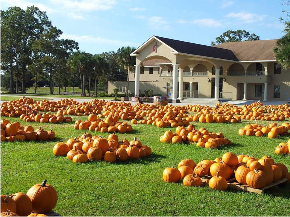 Baton Rouge Pumpkin Patch