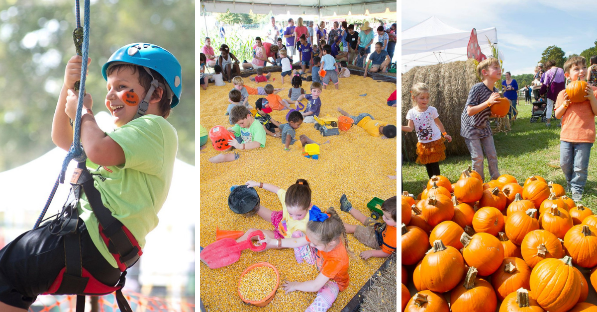 Corn Maze at Burden