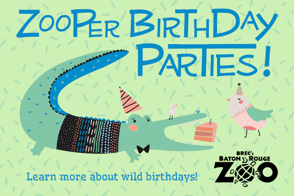Zooper Birthday Party