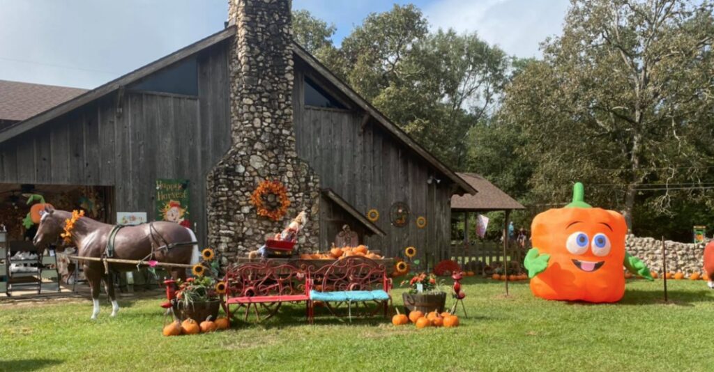 Mrs. Heather's Pumpkin Patch