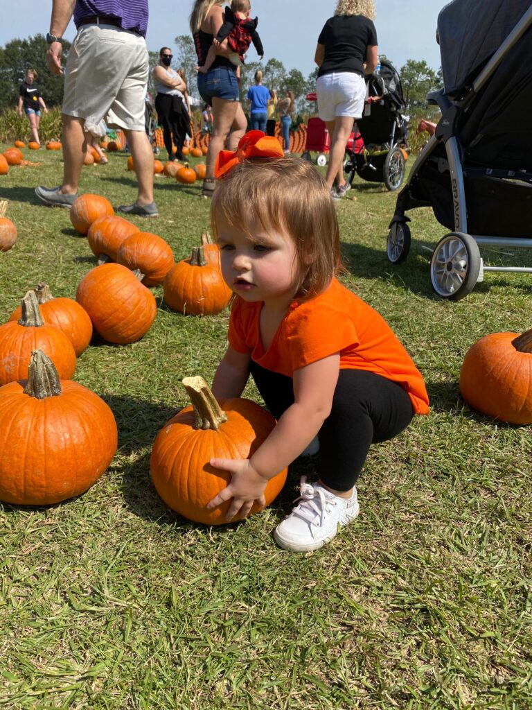 Mrs. Heather's Pumpkin Patch