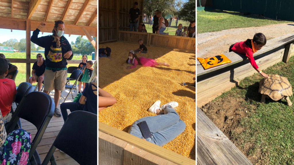 Barn Hill Preserve Pumpkin Patch