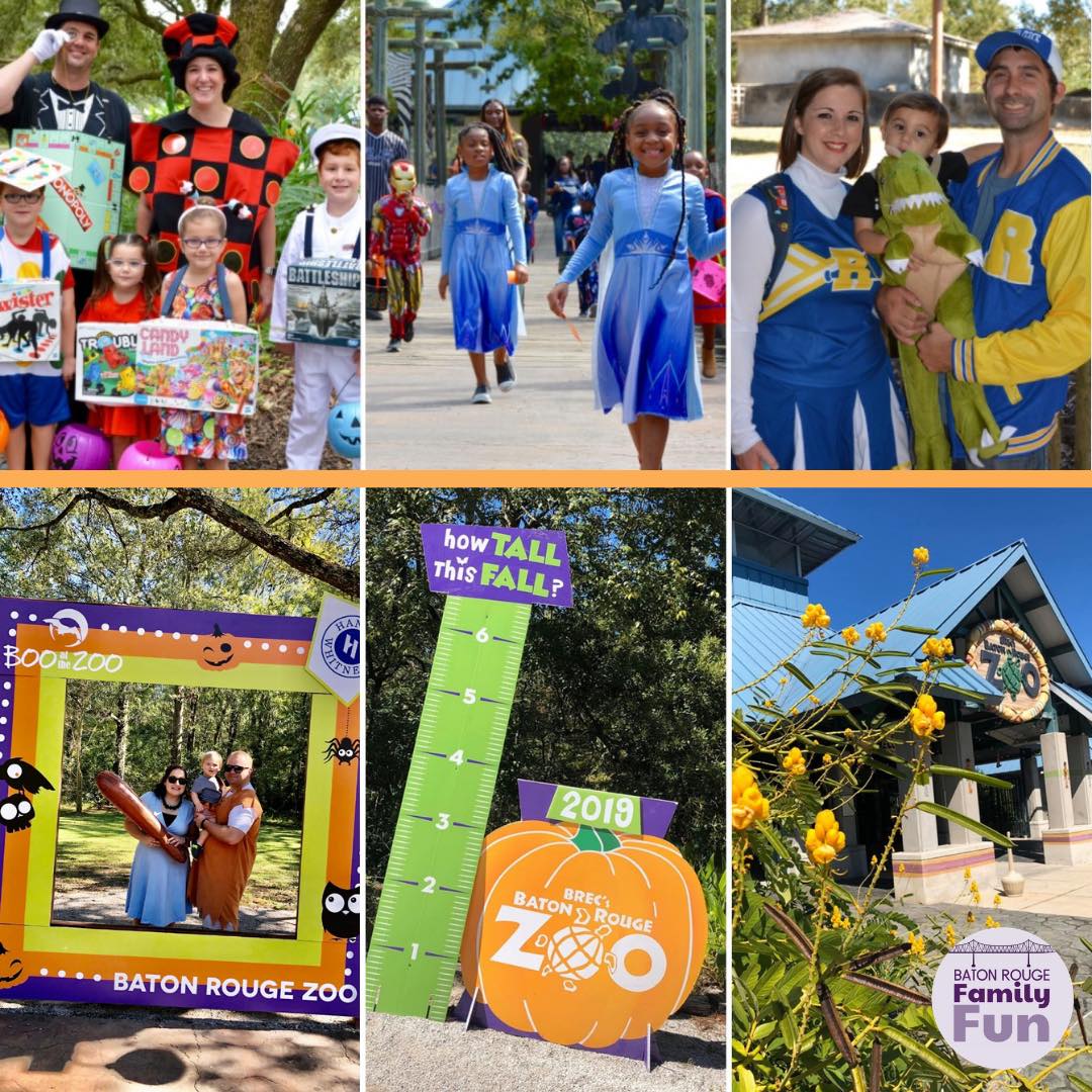 Boo At The Zoo 2024 St Louis Mo Schedule Flora Jewelle