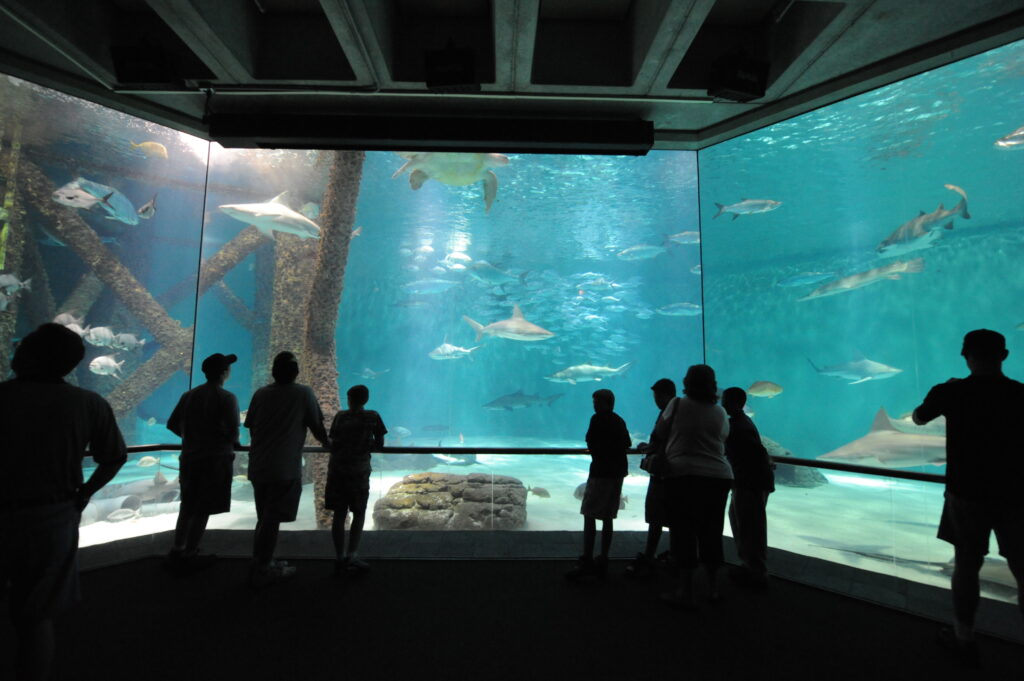 AUDUBON AQUARIUM AND INSECTARIUM