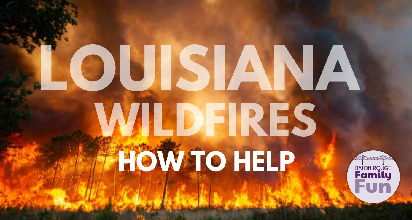 Louisiana Wildfires How to Help