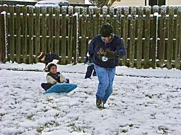 Homemade Sled 