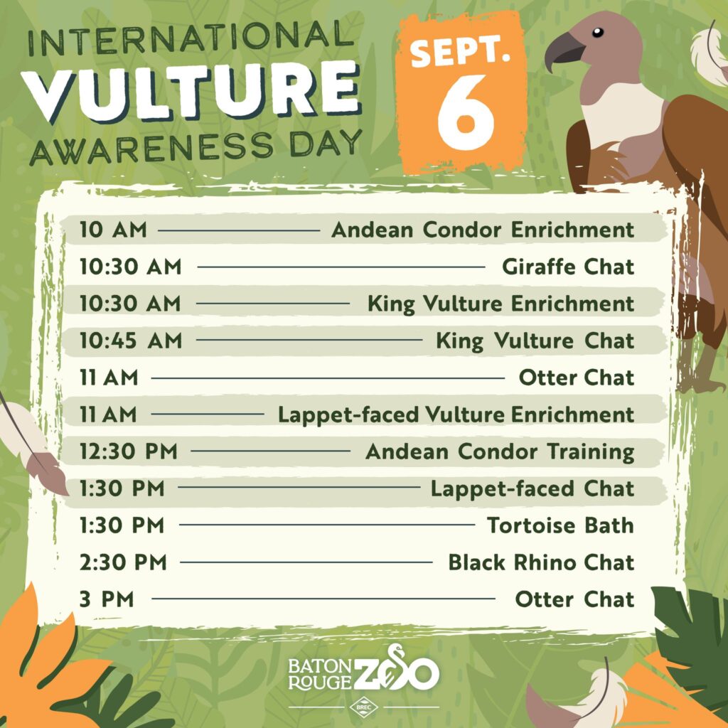 Things To Do in Baton Rouge