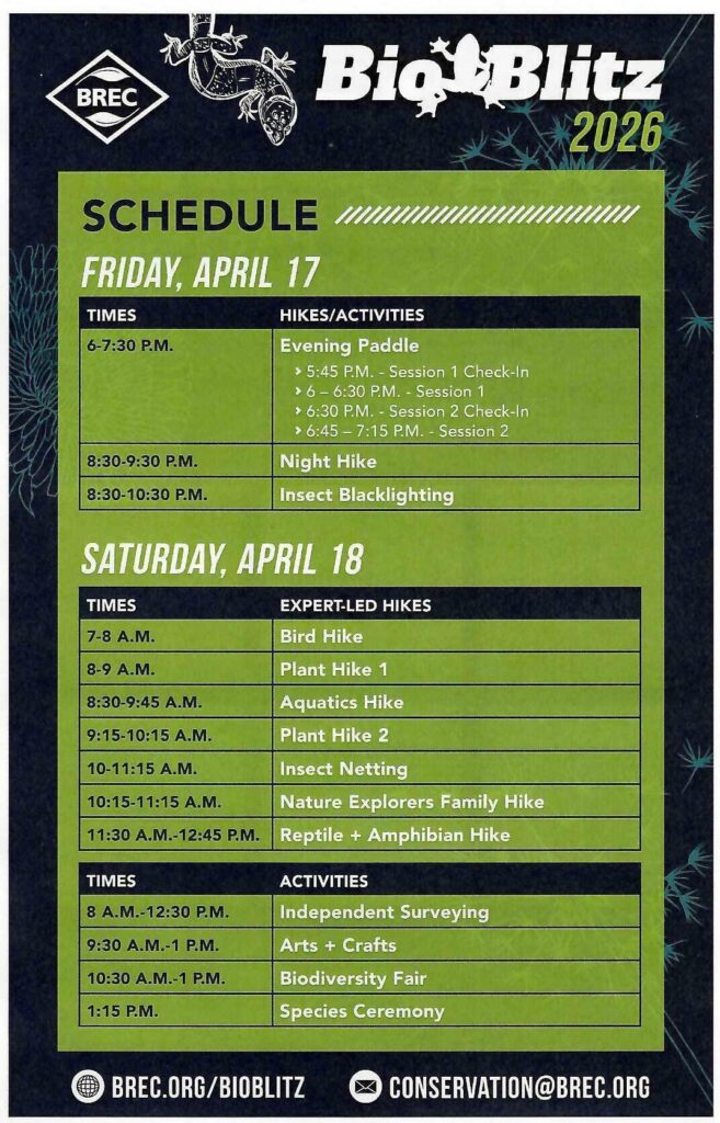 Things To Do in Baton Rouge 