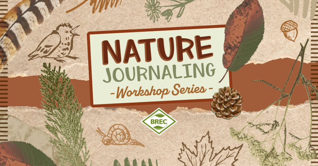 Things To Do in Baton Rouge