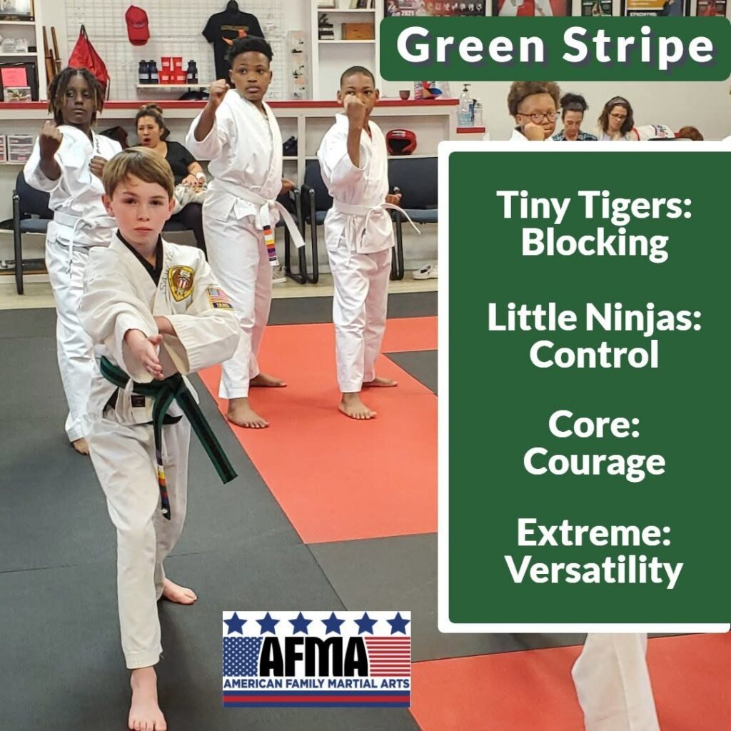 American Family Martial Arts 